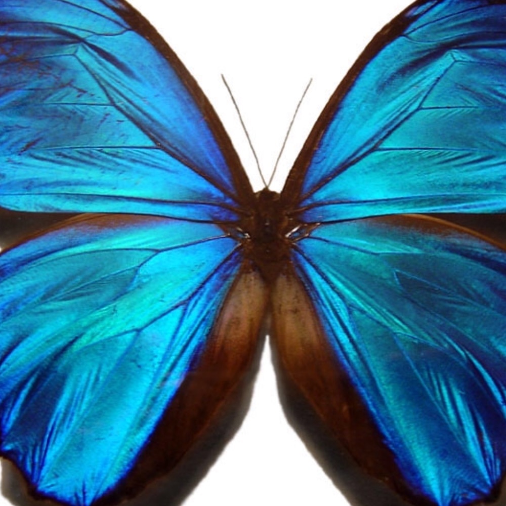 Meet your Posher, Shellybelle1969